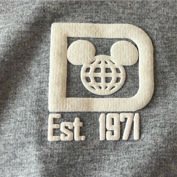 XSmall Walt Disney World Resort Spirit Jersey. Gray and white (fleece) - Picture 8 of 9